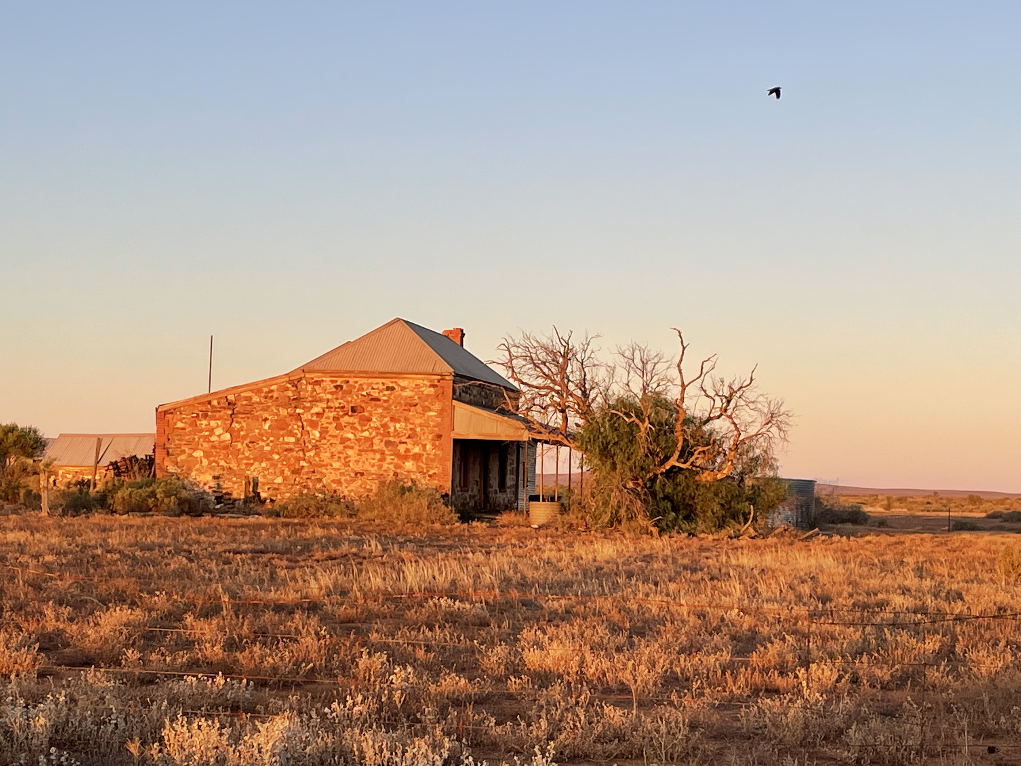 Carling Road ruin by R Rees